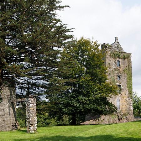 Villa Dripsey Castle Estate Cork Esterno foto