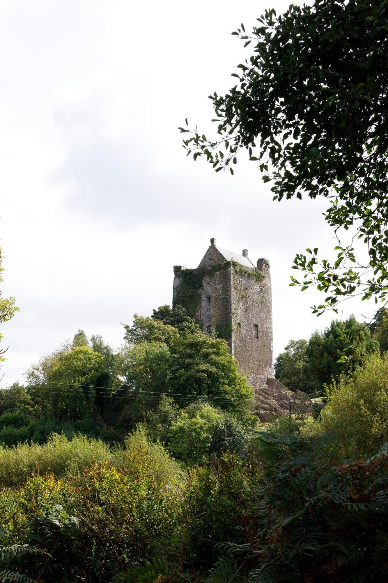 Villa Dripsey Castle Estate Cork Esterno foto