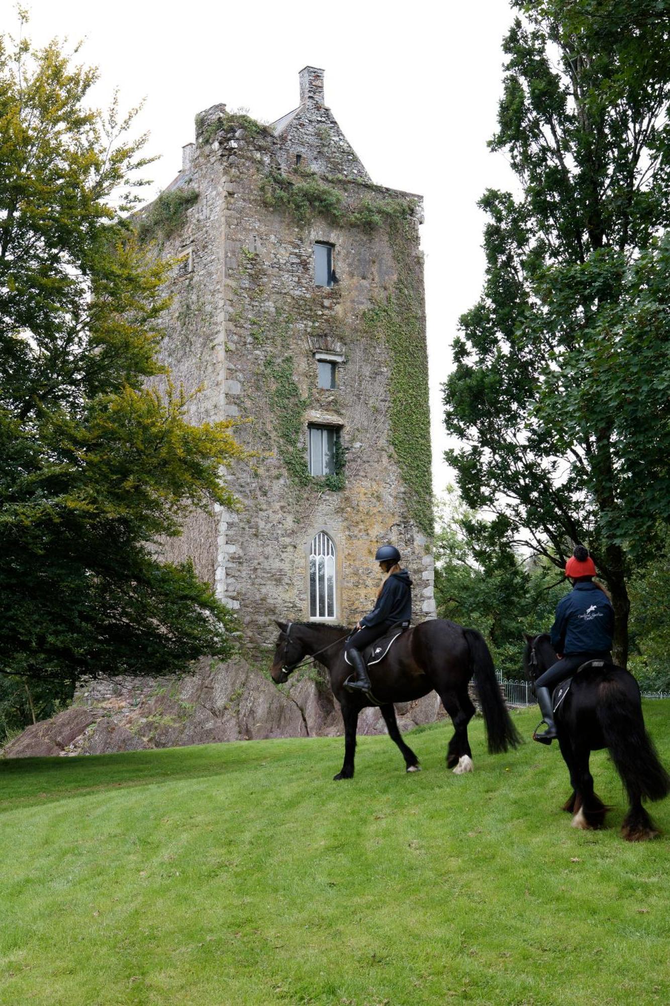 Villa Dripsey Castle Estate Cork Esterno foto