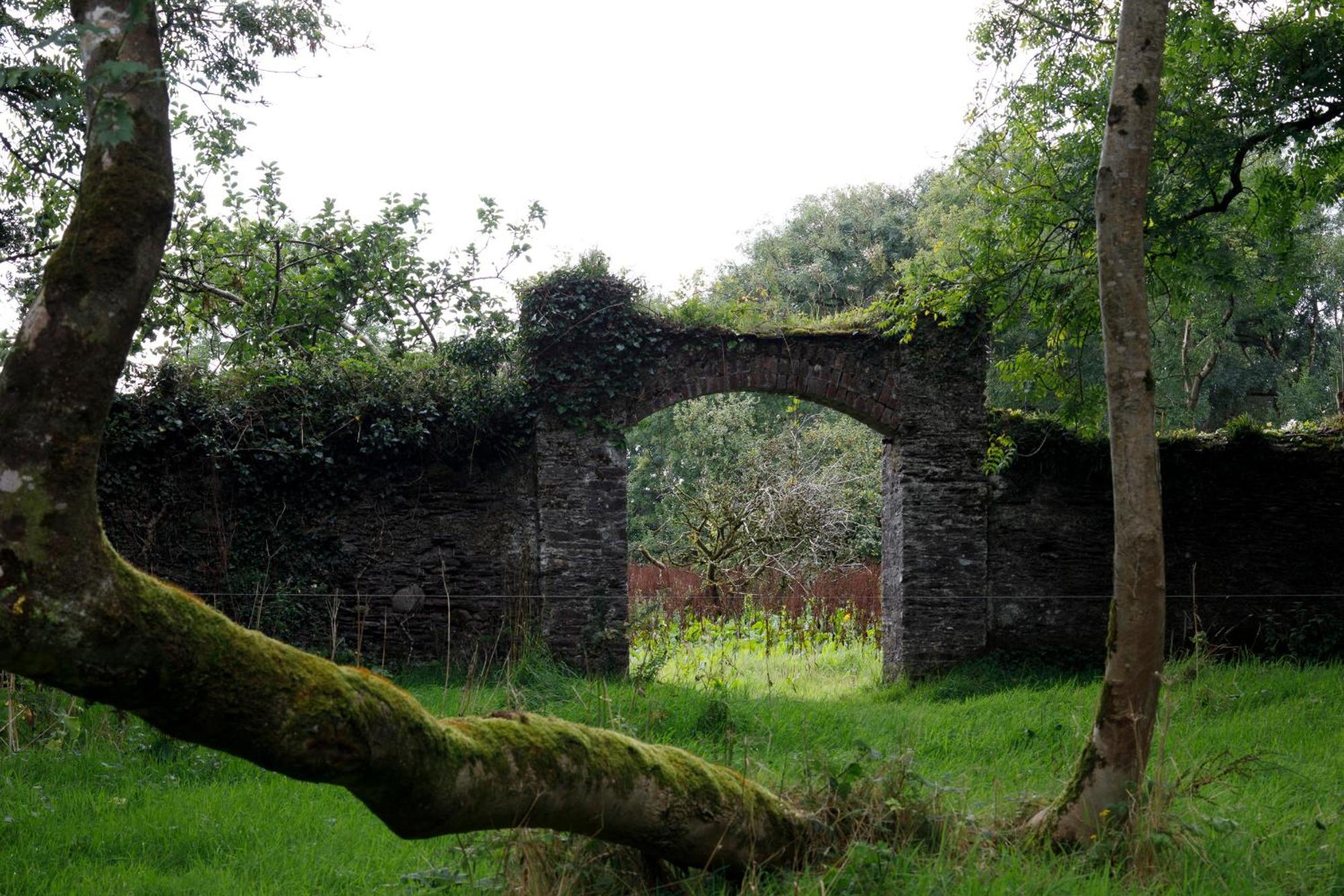 Villa Dripsey Castle Estate Cork Esterno foto