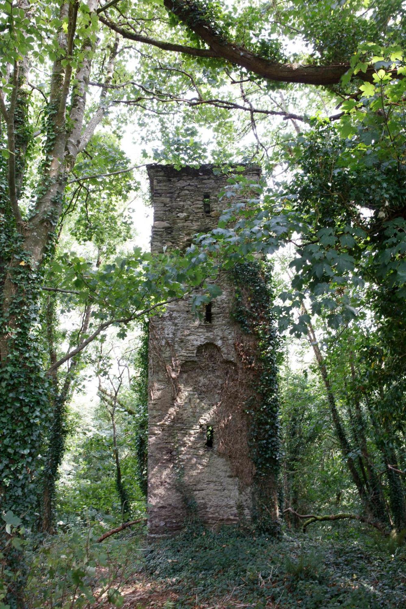 Villa Dripsey Castle Estate Cork Esterno foto