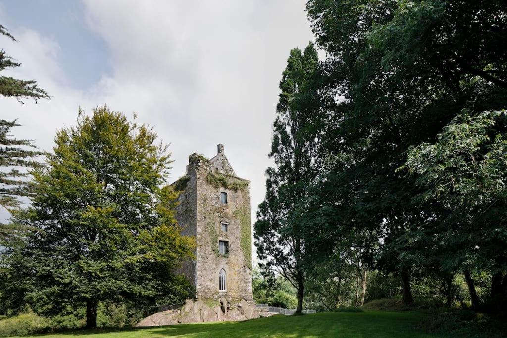 Villa Dripsey Castle Estate Cork Esterno foto